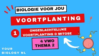 4 vwo  Voortplanting  1  Ongeslachtelijke voortplanting amp mitose [upl. by Dean62]