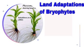 Land Adaptations of Bryophytes  chp9  Bryophytes and Tracheophytes land adaptation in bryophytes [upl. by Adyl427]