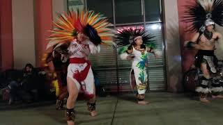 Danza Azteca venado [upl. by Maurise]