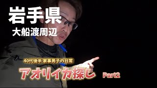 岩手県 アオリイカってホントに岩手にいるのかな？謎のまま深夜に彷徨う‥40代後半 [upl. by Lilyan]