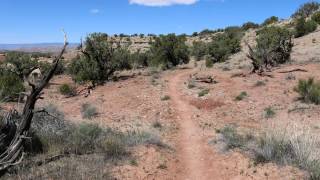 Pollock Bench Trail [upl. by Uriiah384]