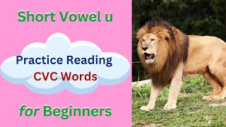 Practice Reading Easy English Words  Learn to Read CVCC CCVC words [upl. by Frohman276]