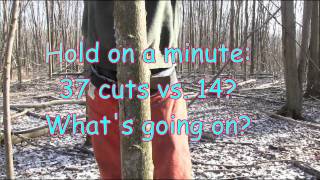 Why an angled back cut is dangerous and unecessary when hinge cutting a tree [upl. by Fadil401]