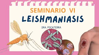 Seminario leishmaniasis  Dra Pocaterra EJMV UCV 2024 [upl. by Asirrac]