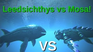 Leedsichthys VS Mosasaurus  ARK Survival Evolved [upl. by Norac221]