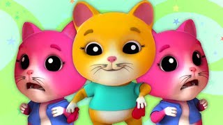 trois petits chatons  comptines  chansons pour enfants  chatons chanson  Three Little Kittens [upl. by Aznarepse]