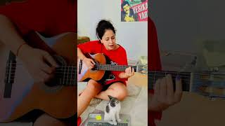 Üstüme Basıp GeçmeGökhan Kırdar Cover gökhankırdar cats guitar gitar [upl. by Jovi]