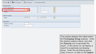 Demo 413 Display a Report Using the Purchasing Information Systems [upl. by Schwenk]