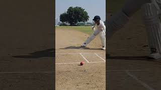 Cricket is lovelife cricket like t20worldcup2024 shorts ytshorts trending [upl. by Retsbew]