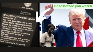 DONALD TRUMP PICKING COTTON PRANK ON MY BLACK GIRLFRIEND hilarious🤣 [upl. by Romeu]