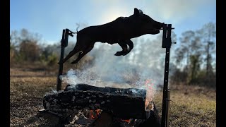 Wild Pig Hunt And Rotisserie Over the Fire SO GOOD [upl. by Eicaj]