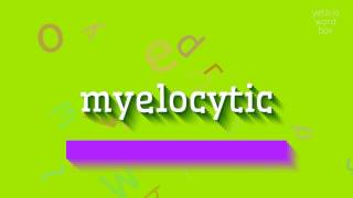 How to say quotmyelocyticquot High Quality Voices [upl. by Alberto706]