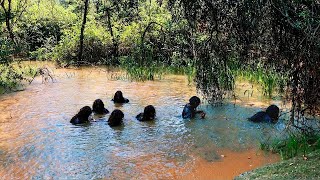 What A Camera Captured In The Philippines Shocked The Whole World [upl. by Thoma]