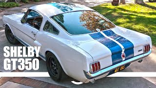 LOUD Shelby GT350 Screaming Through the Canyons [upl. by Srevart]