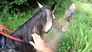 Cabalgando en Villalba PR con Hacienda La Tardanza elcaballoyelcaballista [upl. by Esmeralda]