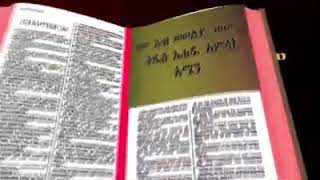 በ 333 ዓም የተመሰረተችው የመርጡለ ማሪያም ገዳም [upl. by Cronin]