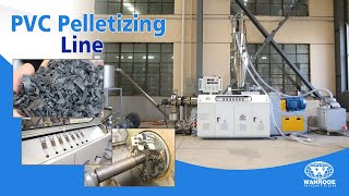 Plastic Pelletizer Machine Soft PVC Granulator Machine Plastic Recycling Granulator Machine [upl. by Tiff]