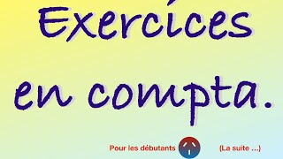 ✅ Exercices en comptabilité pour débutants  Apprendre à lire un bilan comptable [upl. by Nodnek]