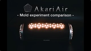 Portable Air Purifier with Photocatalytic Technology for Cleaner Air Anywhere [upl. by Alieka]