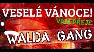 Walda Gang  Vánoční svařák [upl. by Angelico]