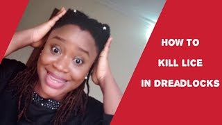 HOW TO REMOVE HEADLICE AND NITS IN LOCS WITHOUT CUTTING LOCS DREADLOCK CENTRIC [upl. by Bertila]