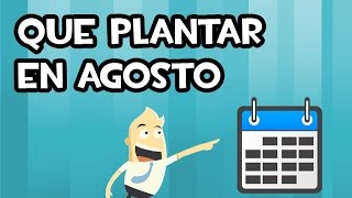 Que SEMBRAR y PLANTAR en AGOSTO  Calendario de Siembra [upl. by Riatsila]