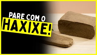 05 dicas para PARAR de FUMAR HAXIXE [upl. by Clie]