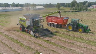 4K Claas Lexion 8900 With McDon Pickup Header [upl. by Curry]