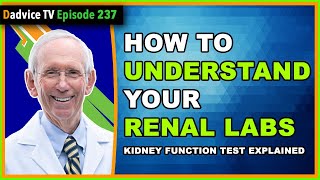 Kidney Function Test  How to understand your renal labs [upl. by Reinnej]