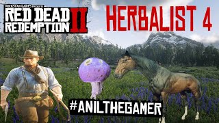 WHERE TO FIND 5 MUSHROOMS EXACT LOCATION  HERBALIST 4 anilthegamer rdr2 herbalist [upl. by Cassy951]