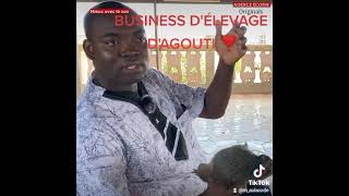 Emmanuel KABLAN  business délevage dagoutis ou aulacodes de AULACODE CÔTEDIVOIRE [upl. by Hpeosj]