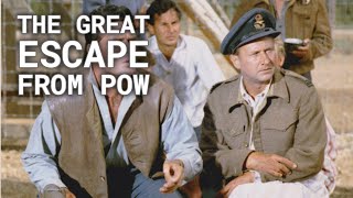 Donald Pleasence From RealLife POW to ‘The Great Escape’ [upl. by Nnorahs63]