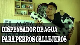 ¿Como hacer un BEBEDERO de AGUA para perros callejeros  Cheke 97 [upl. by Noisla451]