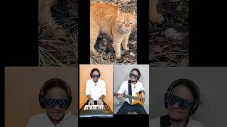 Go London 😂😂cat song cats catsong catmusic [upl. by Hettie]