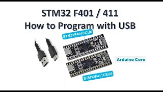 STM32 F401 F411 How to Program using USB [upl. by Secunda]