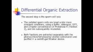 DNA Analyst Training  Organic Extraction [upl. by Tireb]