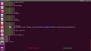 Introduction to shell scripting Part 1  First shell script in Linux [upl. by Evvie]