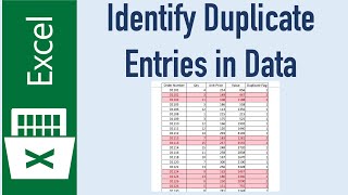 Find Duplicate Entries in Excel [upl. by Acirrej]