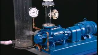 NASH Liquid Ring Vacuum Pump Reliability [upl. by Olumor]