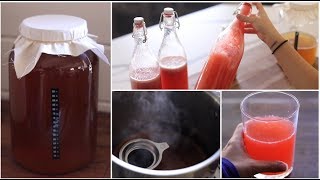 DIY Kombucha [upl. by Forrest732]