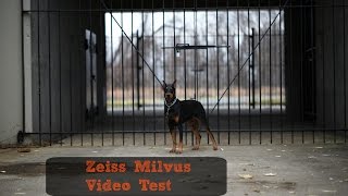 Zeiss Milvus Video Test Footage [upl. by Anelliw112]