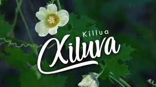 KilluaXiluva [upl. by Ivette]