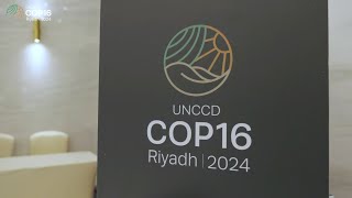 COP16 Riyadh  Negotiation Team Workshop [upl. by Nedah758]