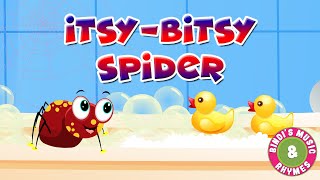 Itsy Bitsy Spider  Popular Nursery Rhymes for kids  Toddlers  Bindis Music amp Rhymes [upl. by Nnairac]