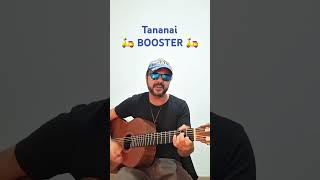 BOOSTER  TANANAI Cover con Accordi [upl. by Sudderth100]