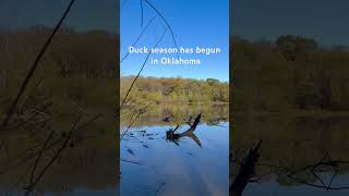 Duck season has begun in Oklahoma [upl. by Ynaffital]