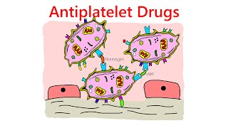 Antiplatelet drugs mechanism of action [upl. by Kaine918]