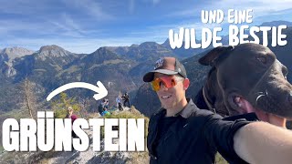 Auf dem Grünstein am Königssee I Wilde Bestie hat mich angesprungen [upl. by Rupert]