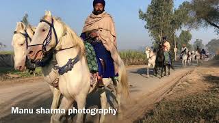 Nihang Singhs of Baba Bidhi Chand Dal Going to Maghi Mela to Sh Muktsar Sahib [upl. by Annunciata]