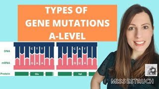 Type of GENE MUTATIONS Alevel Biology Do you know the 6 types of gene mutations [upl. by Shue]